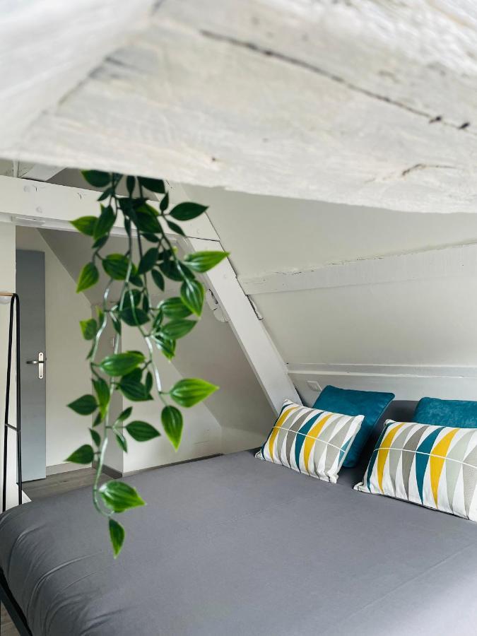 Be My Apparts, Appartement De Charme "Au Beffroi", Douai, Coeur De Ville ภายนอก รูปภาพ